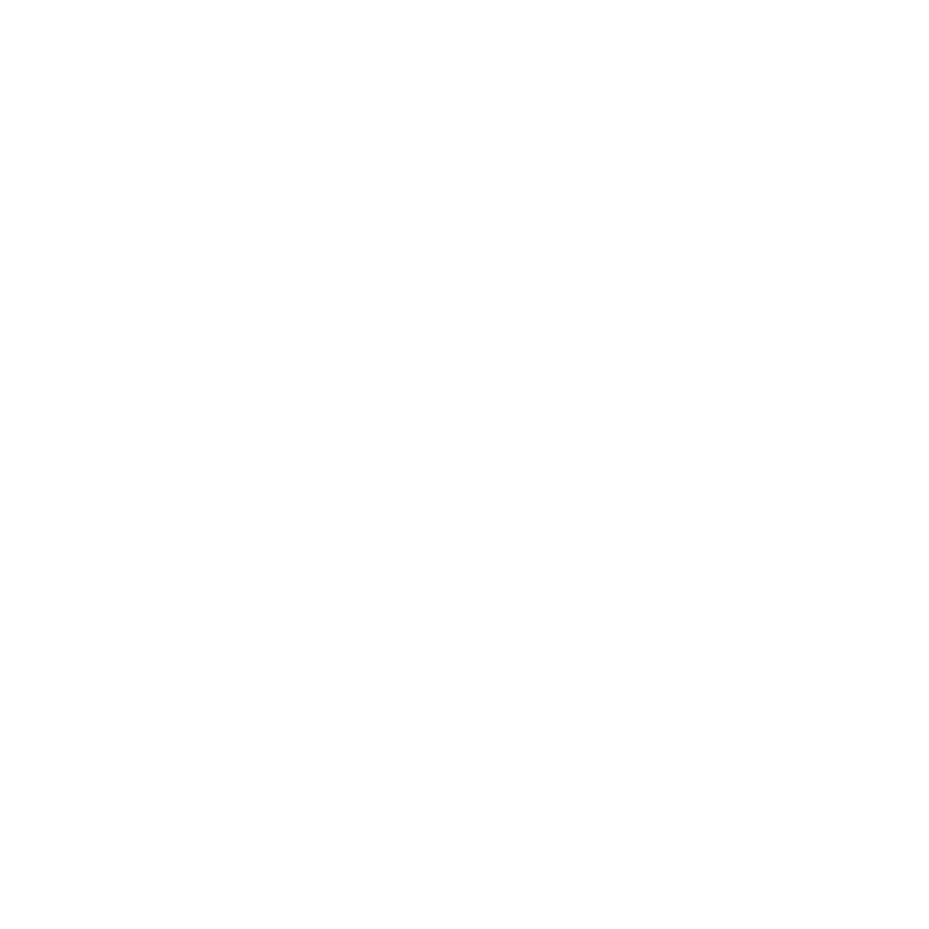 Professor Dr. Michael Heise Logo